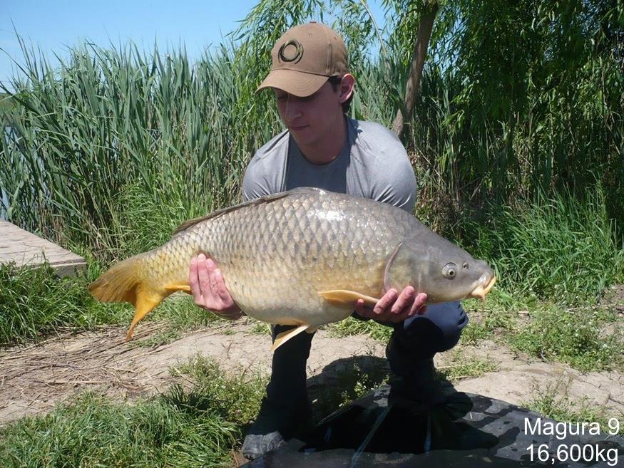 Capturi - m916600.jpg